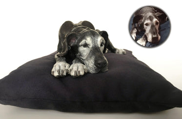 Helen Violet is our Latest ArtResin Winner!