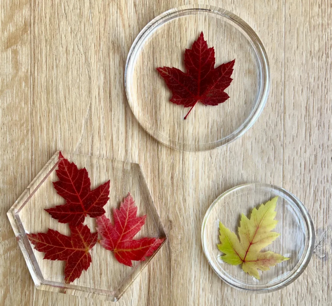 How to Preserve Natural Objects in Resin