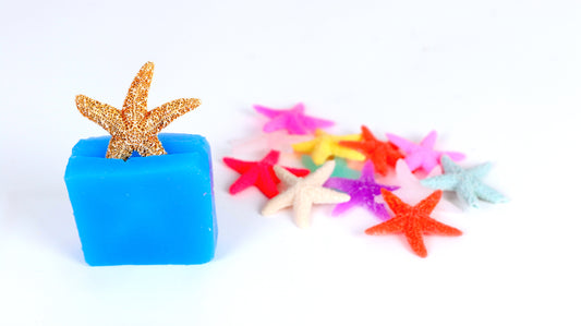 How To Copy A Starfish: A Two-Part Mold