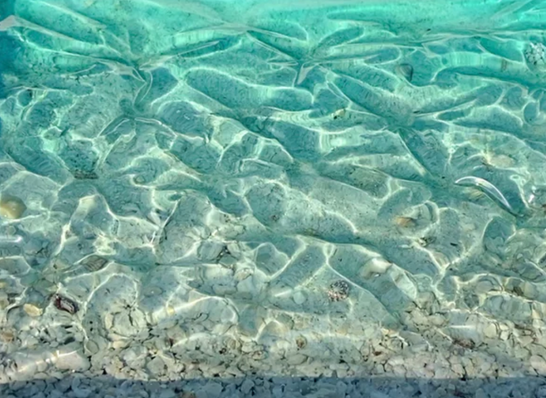 Using alcohol inks and liquid pigments in different opacities really helps to create that realistic ocean water effect. The translucency of the alcohol ink lets light pass through to the sand and shells below.